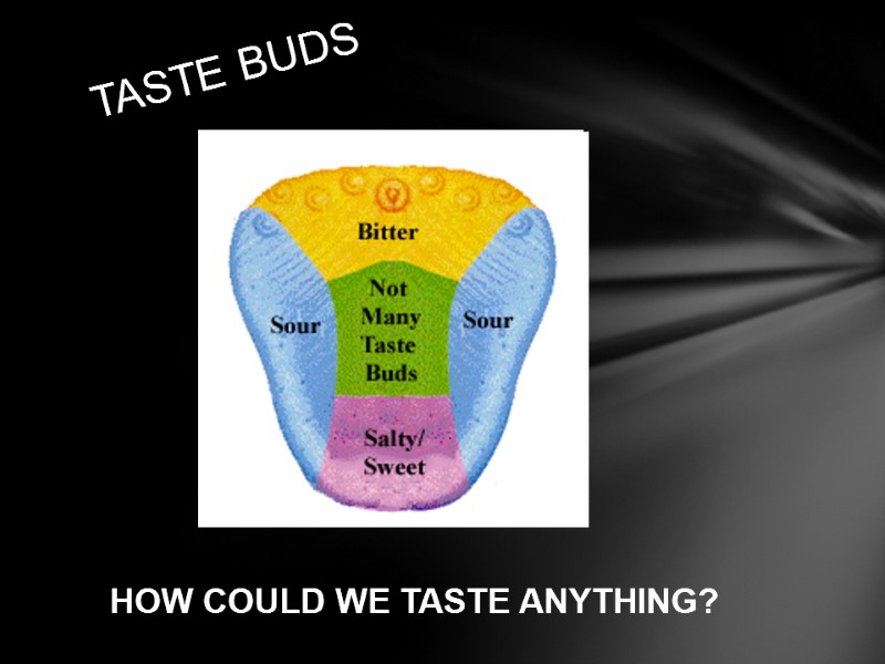 HOW COULD WE TASTE ANYTHING? TASTE BUDS